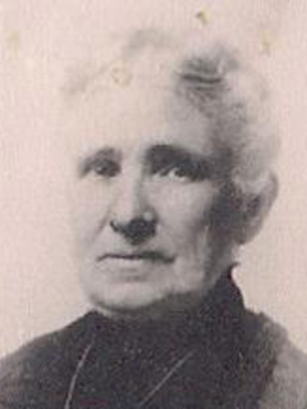 Fannie Ainger Peck (1845 - 1918) Profile